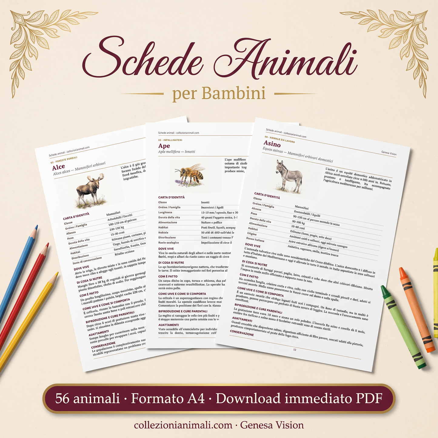 Schede animali per bambini — Pack digitale completo A4