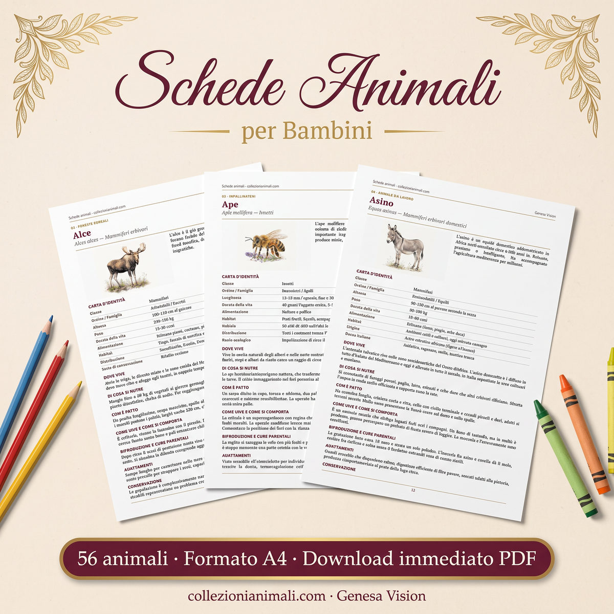 Schede didattiche animali