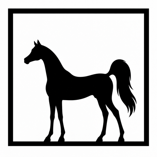 Quadretto da parete con la silhouette nera del cavallo arabo in una cornice quadrata