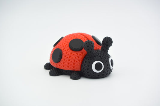 Collezione a maglia n. 16 – Coccinella