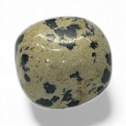 Pietra Dalmata — 9,2 g | 20,1 × 17,1 mm