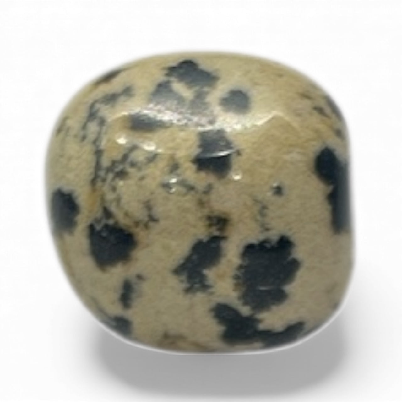 Pietra Dalmata — 9,2 g | 20,1 × 17,1 mm
