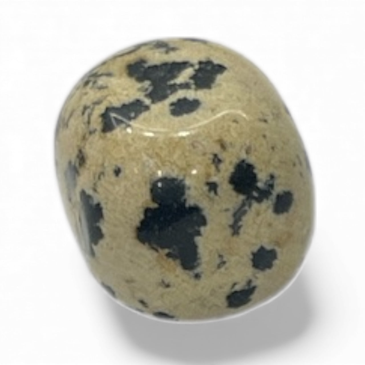 Pietra Dalmata — 9,2 g | 20,1 × 17,1 mm