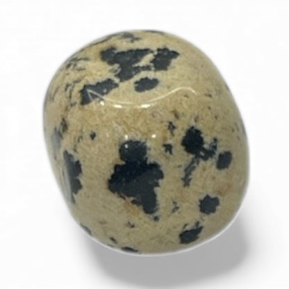 Pietra Dalmata — 9,2 g | 20,1 × 17,1 mm