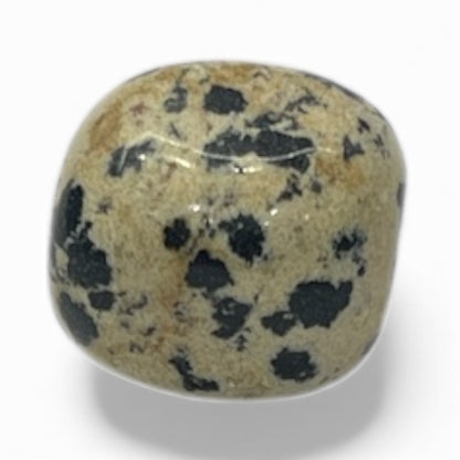 Pietra Dalmata — 9,2 g | 20,1 × 17,1 mm